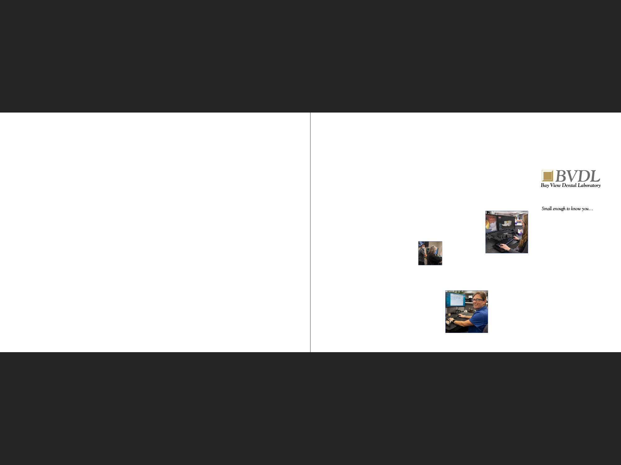 Bay View Dental Lab portfolio, front and back cover.