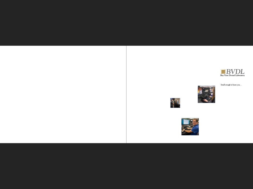 Bay View Dental Lab portfolio, front and back cover.