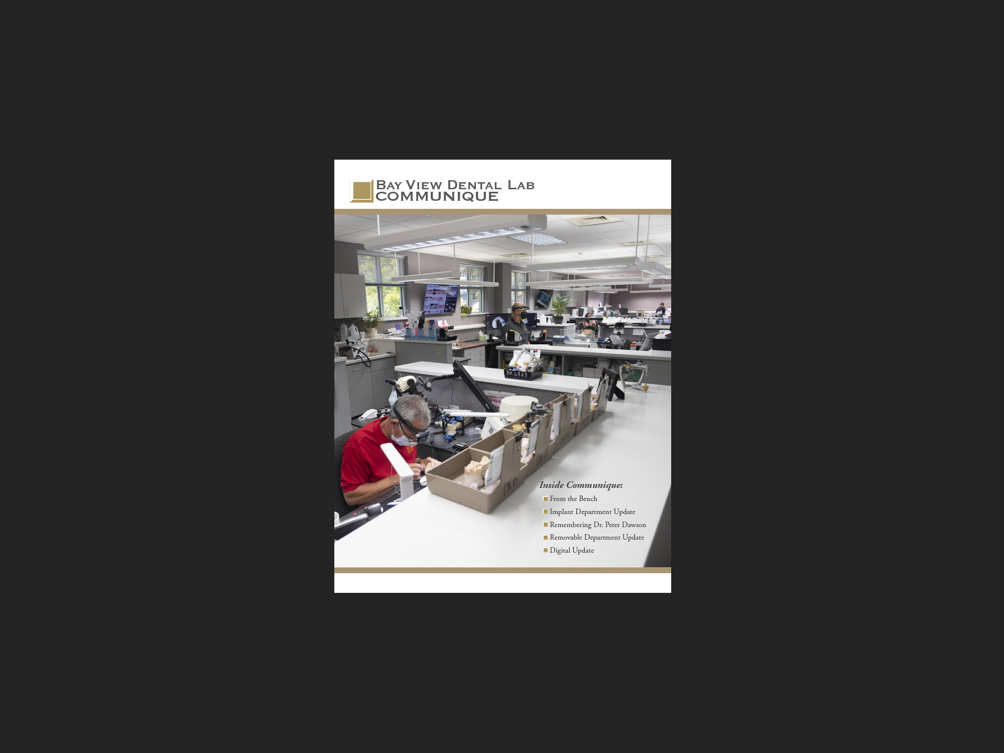 Bay View Dental Lab Communique, 2020.