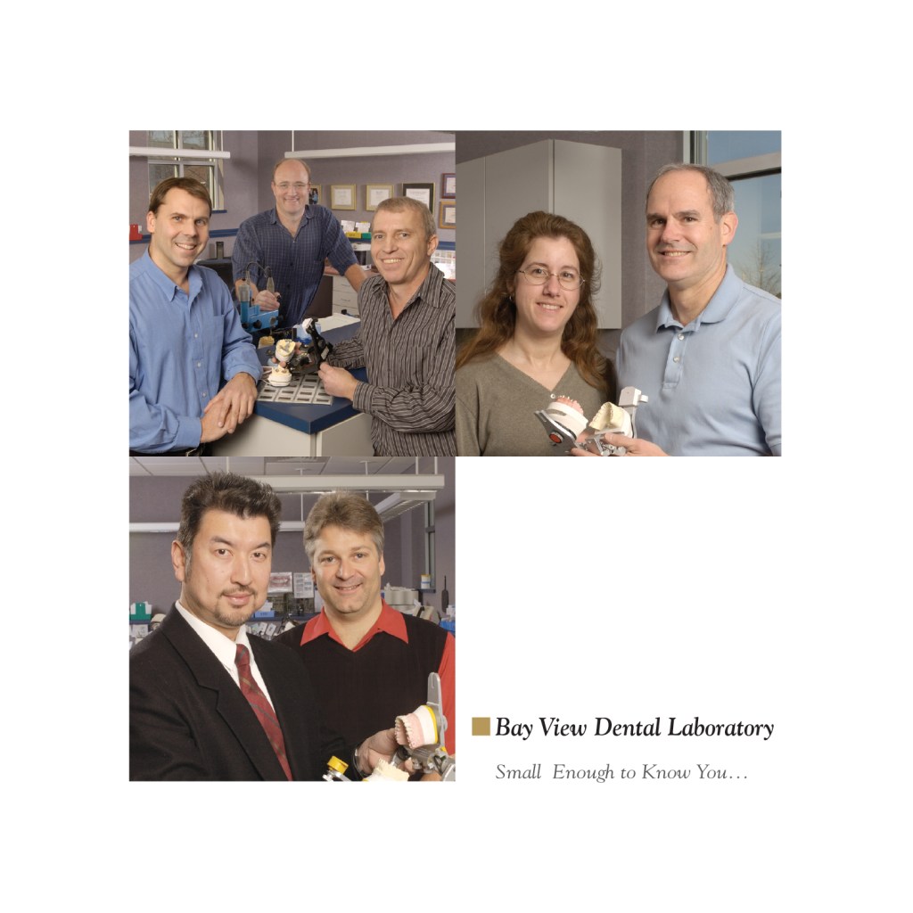 BVDL Promotional Booklet, 2014; front cover.